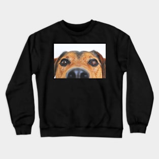 Cute Dog Face Crewneck Sweatshirt